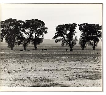 Motherwell, Robert (1915-1991) & Renate Ponsold (1935-2023) Apropos Robinson Jeffers.